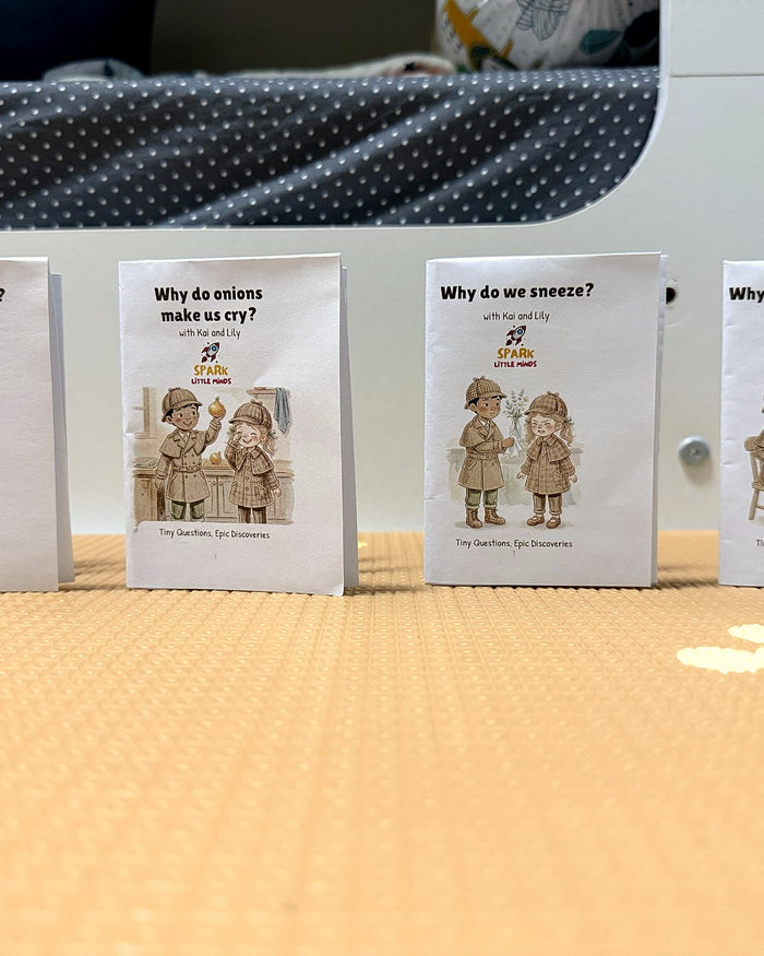 A printed Why Mini-Book at home