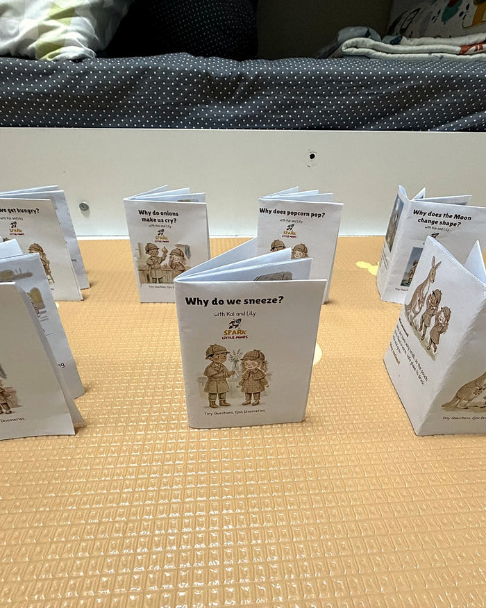 A printed Why Mini-Book at home
