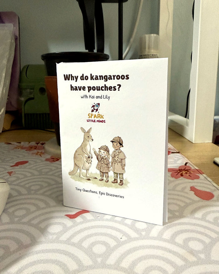 A printed Why Mini-Book at home