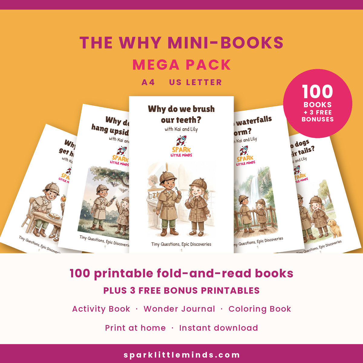 The Why Mini-Books printed and folded